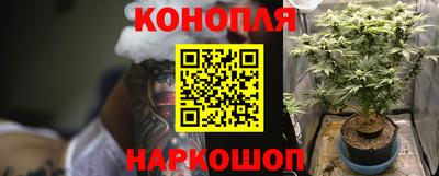 дурь Будённовск